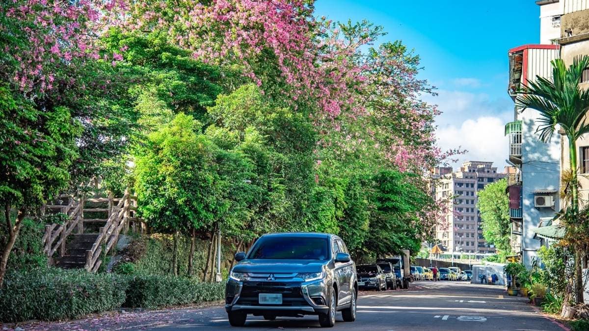 步道的花朵綻放之景為市景增添不少美感。（圖片來源：新北市政府水利局）