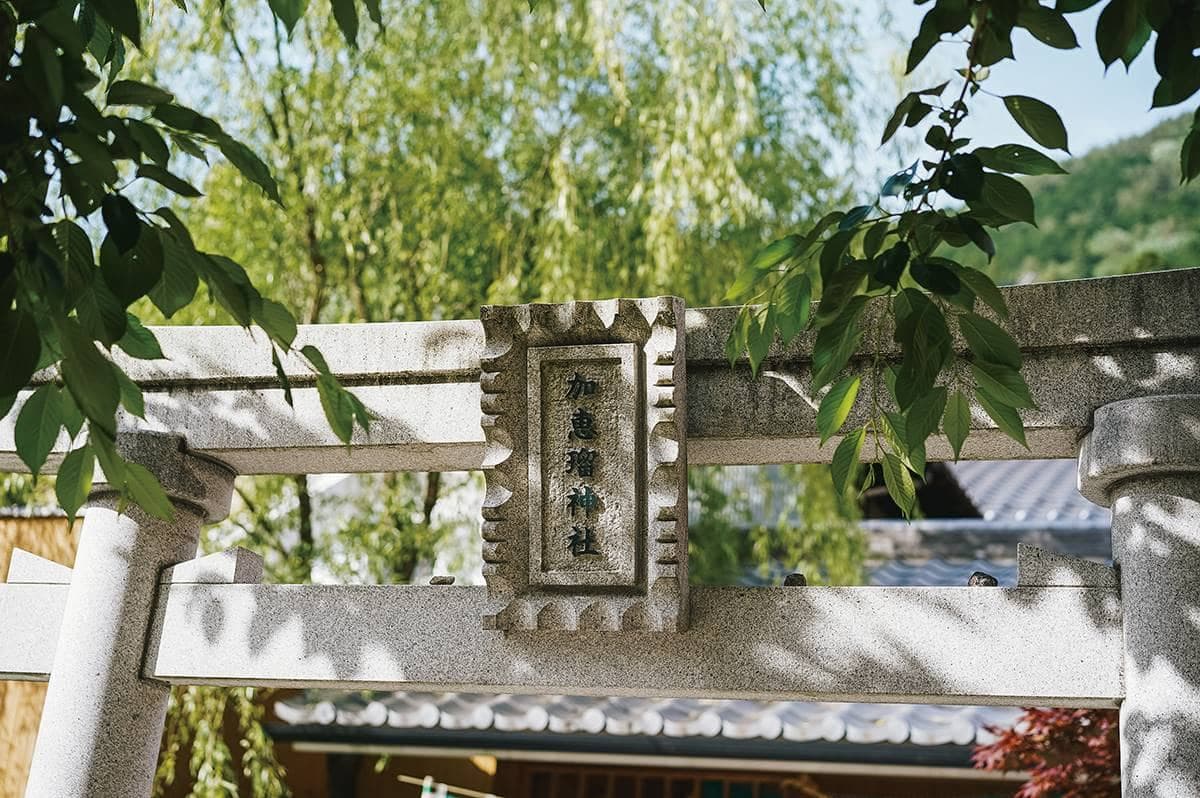 別只去箱根!日本「3大名湯之一」竟藏「青蛙神社」,9處免費足湯泡到爽 別只去箱根!日本「3大名湯之一」竟藏「青蛙神社」,9處免費足湯泡到爽