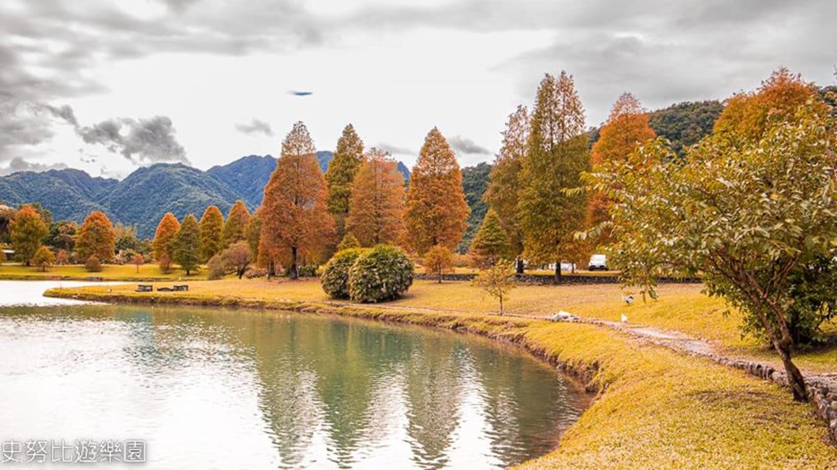 落羽松環湖生長，背山望湖彷若世外桃源。（圖片來源：史努比遊樂園）