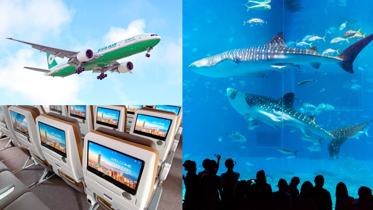 免費抽「全年機票飛到飽」!長榮、星宇線上旅展優惠開跑,最低2388元飛出國