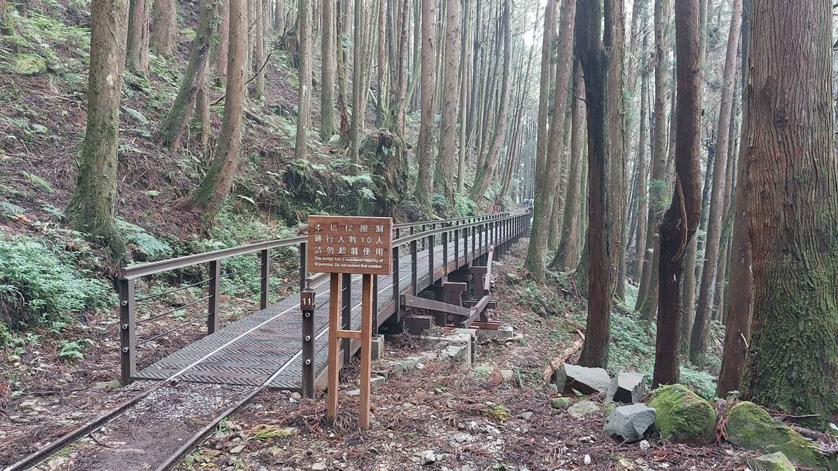 「特富野古道」全長6.32公里。（圖片來源：農業部林業及自然保育署嘉義分署）