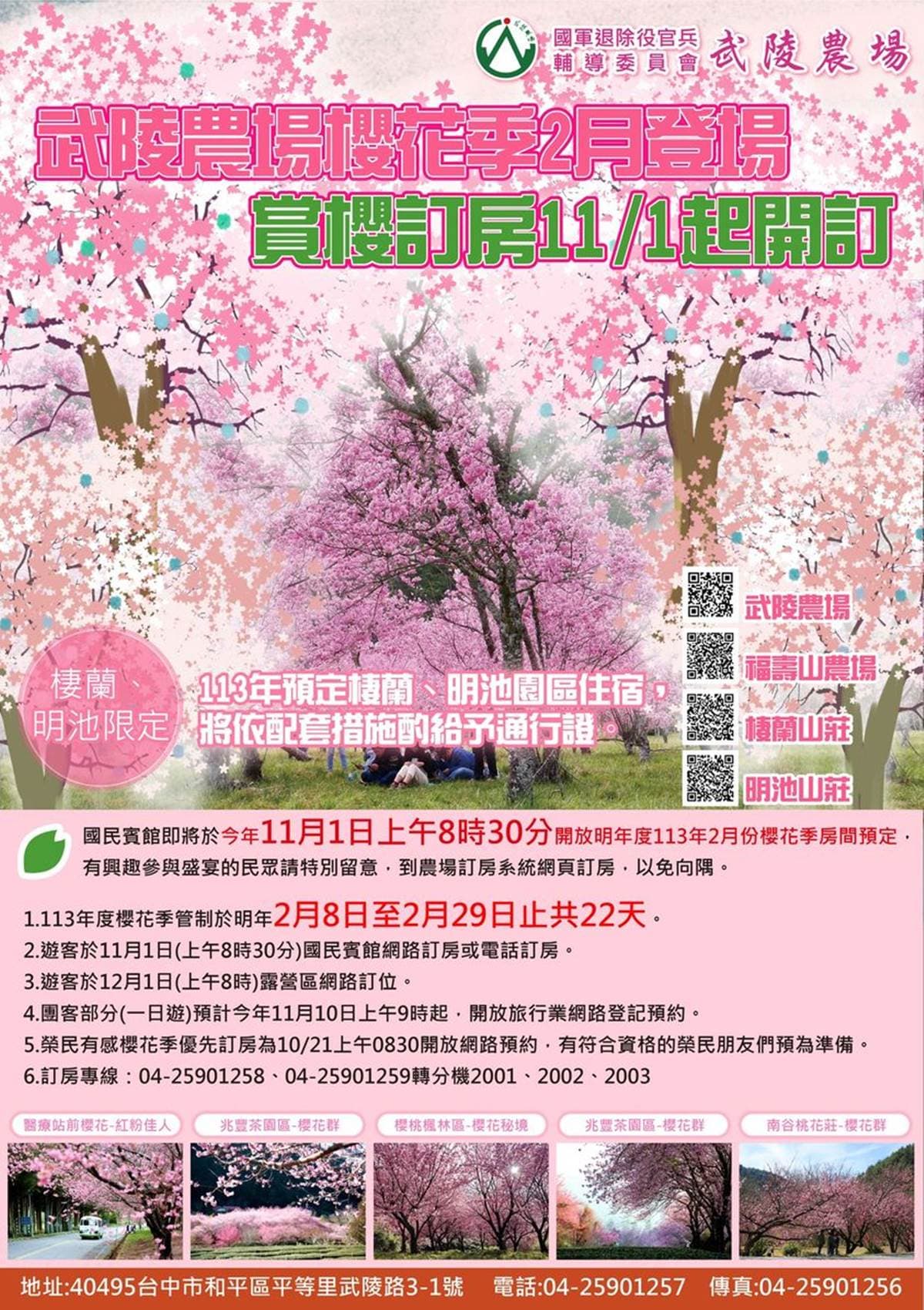 2024武陵農場櫻花季時間曝!國民賓館、露營區訂房準時搶訂,推薦3賞櫻景點 2024武陵農場櫻花季時間曝!國民賓館、露營區訂房準時搶訂,推薦3賞櫻景點