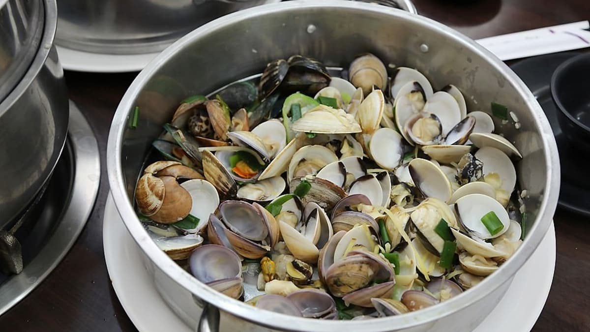 貝類有九孔、蛤仔跟赤嘴仔和鳳螺等等。（圖片來源：台南好FOOD遊）