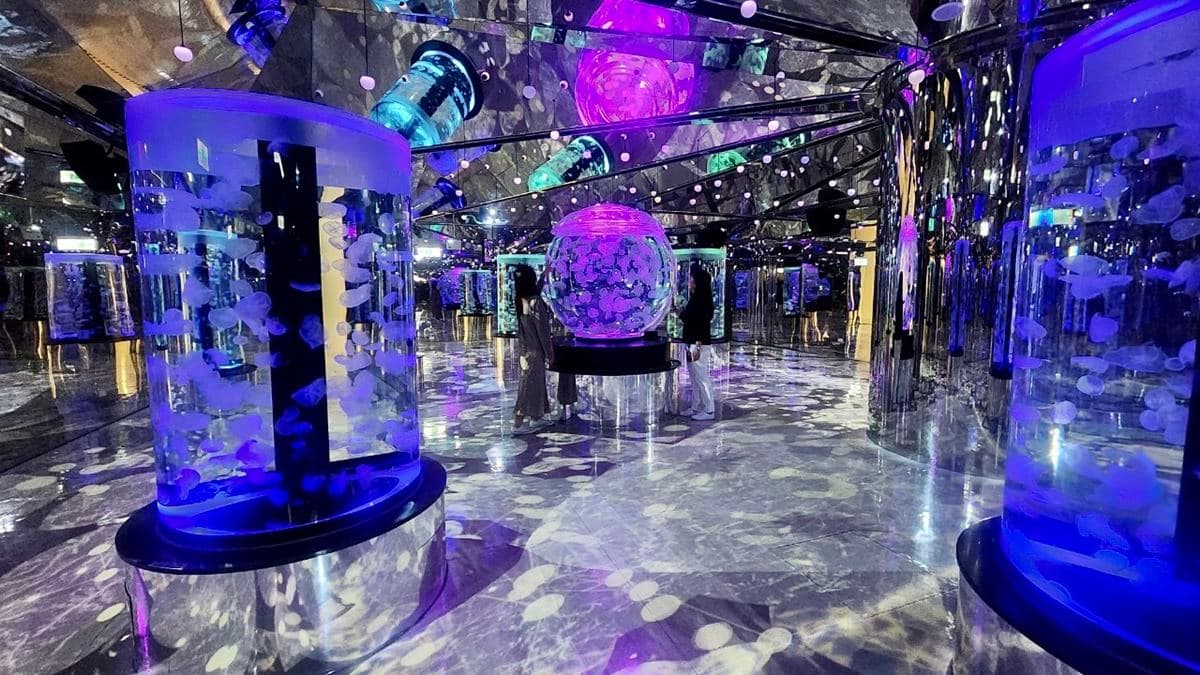 「癒見水母」區的水母萬花筒。（圖片來源：Xpark）