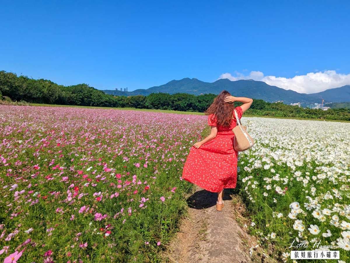 破萬坪「七彩漸層花海」在台北!雙11開跑免費拍爆,接駁車、交通資訊一次看 破萬坪「七彩漸層花海」在台北!雙11開跑免費拍爆,接駁車、交通資訊一次看