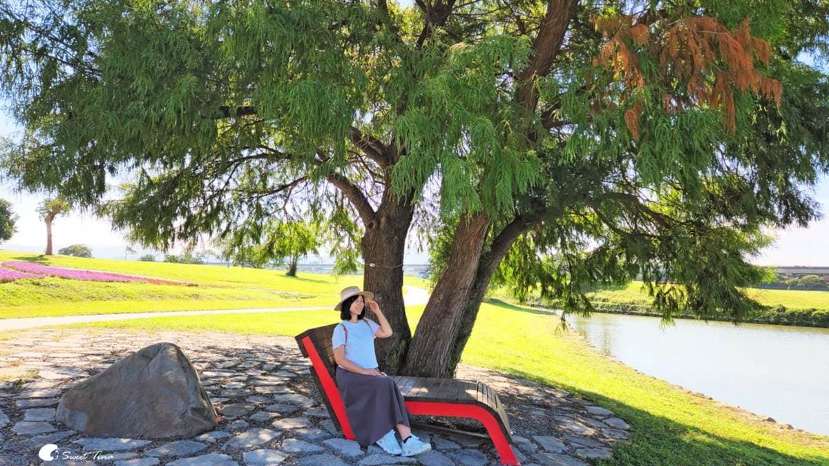 親水灣旁有１棵落羽松，坐在樹下賞景、吹風好舒服。（圖片來源：Sweet Tina 樂在生活分享）