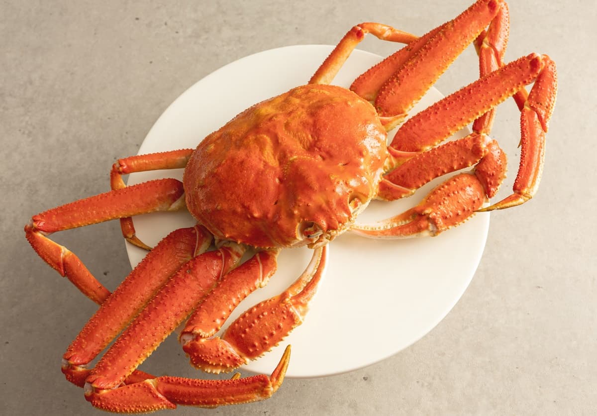 11元爽吃三點蟹！港點吃到飽推雙11優惠，還有「酸菜魚鍋物」大雪蟹只要111元
