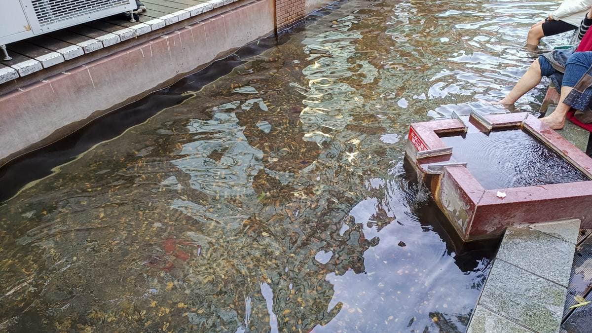 這裡是自然湧出的泉水匯聚成流、熱氣蒸騰，所以溫度較高。（圖片來源：艾莉絲愛旅行）