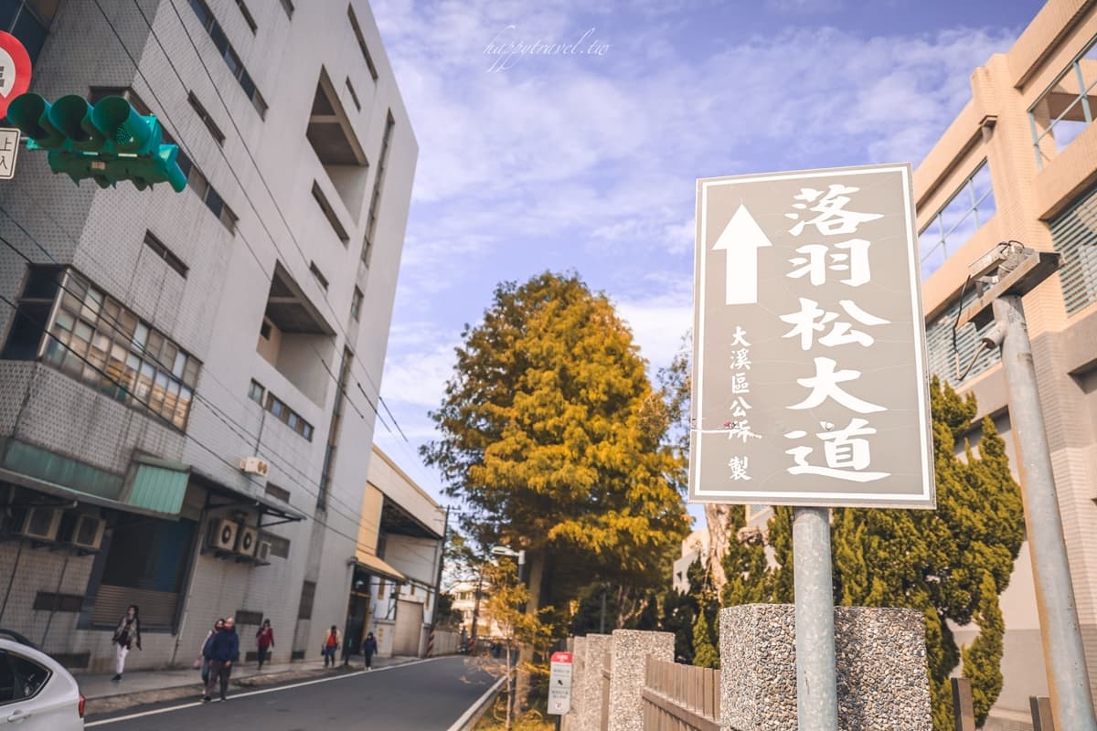 300棵「神祕落羽松大道」在這!金黃閃耀如置身國外,期間限定免費拍到飽 300棵「神祕落羽松大道」在這!金黃閃耀如置身國外,期間限定免費拍到飽