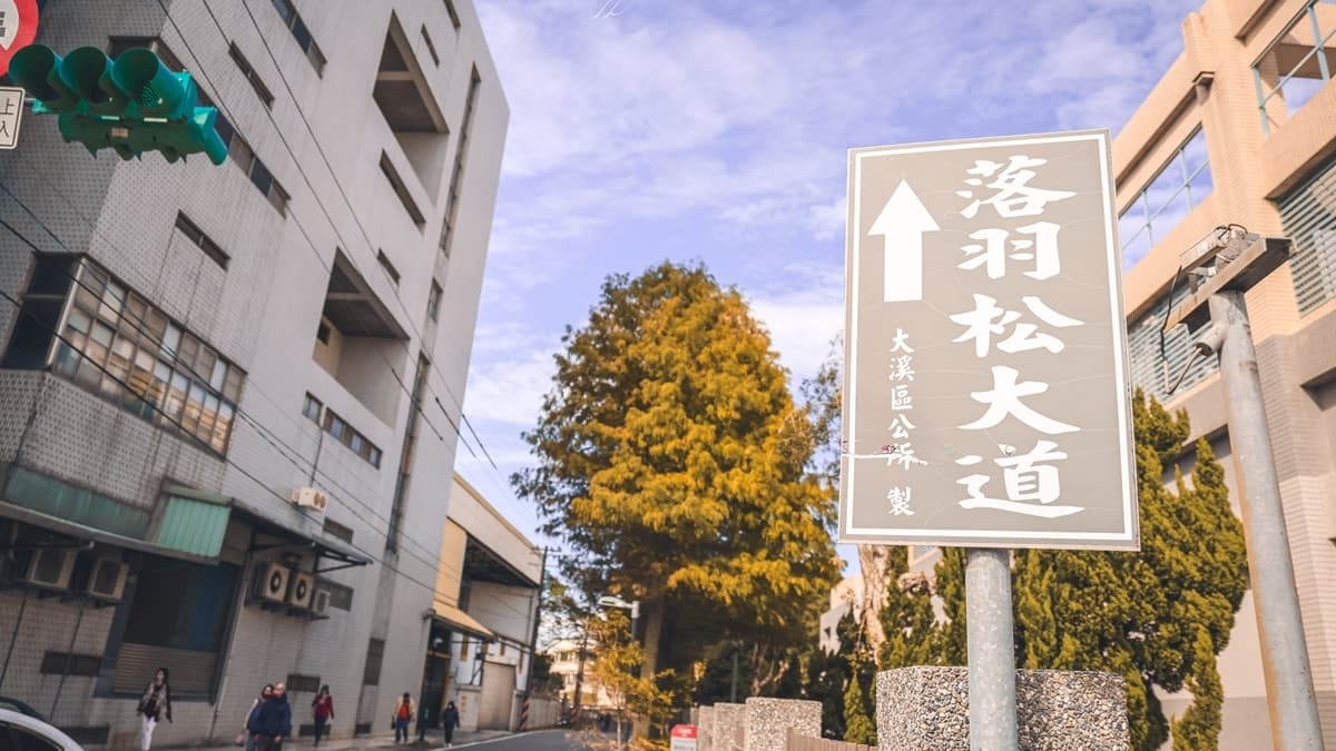 「大溪落羽松大道」在前段和尾段都設有免費的停車場，開車前來很方便。（圖片來源：黑皮的旅遊筆記）
