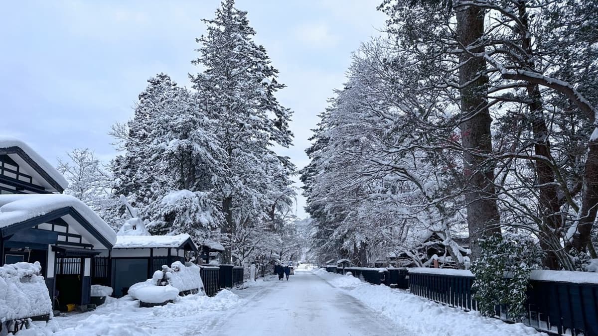 一路上可以看到整片城市被白雪覆蓋，真的超級漂亮！（圖片來源：怪獸的E視野）