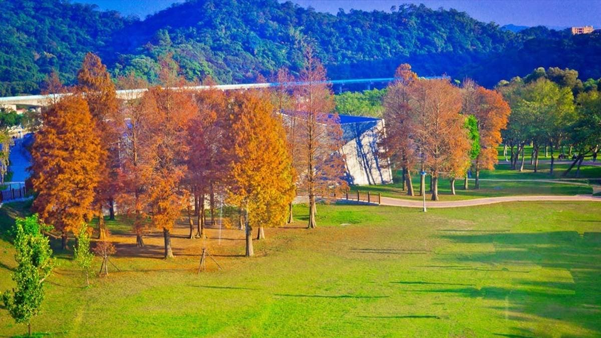 「大湖公園」是搭捷運就能到的賞落羽松景點。（圖片來源：史努比遊樂園）
