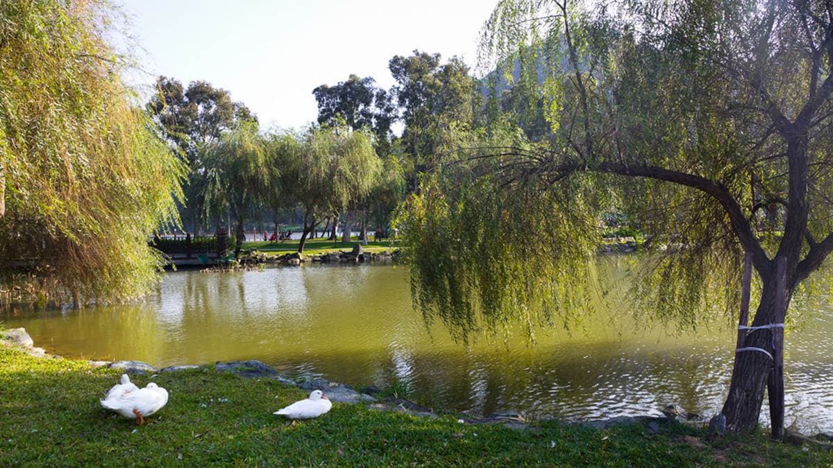 遼闊的湖景讓人看了心曠神怡，沿著湖邊散步也很愜意。（圖片來源：史努比遊樂園）