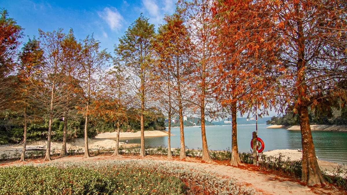 成排的緋紅落羽松，搭配靛藍色湖水，真是美不勝收。（圖片來源：13‘s幸福食光-旅遊美食部落格）