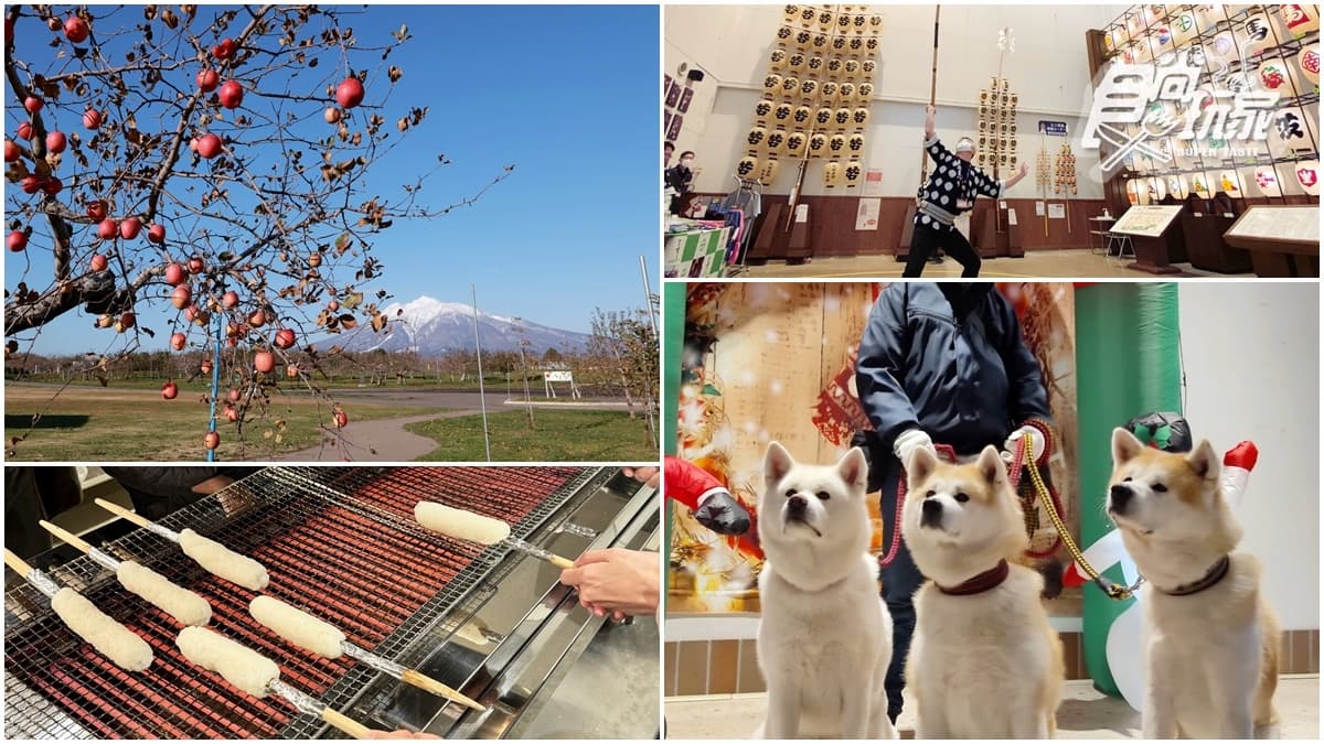 跟超憨秋田犬交朋友！日本秋田超酷親子遊５推薦：DIY烤米棒、嗨玩竿燈（中獎公布）