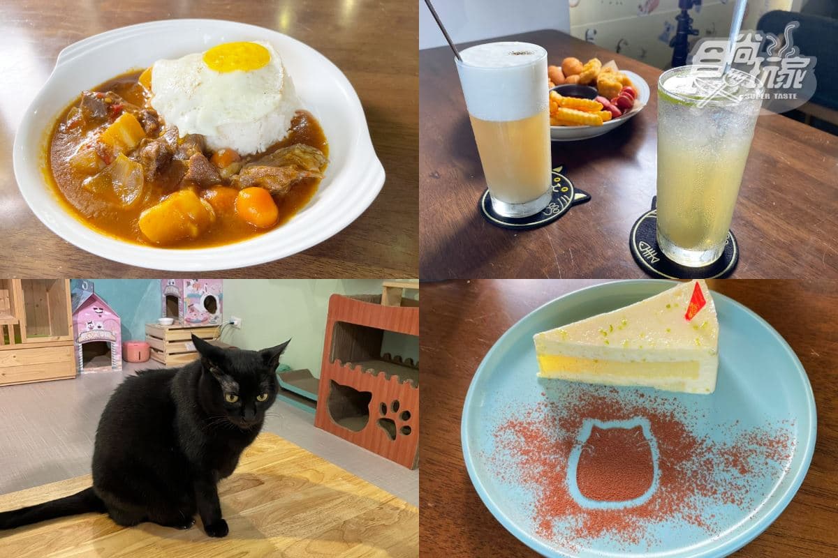 三重美食TOP19:抗漲銅板小吃、大台北滷肉飯人氣王、排隊美食胡椒餅 O CAT CAFÉ|超萌貓奴天堂