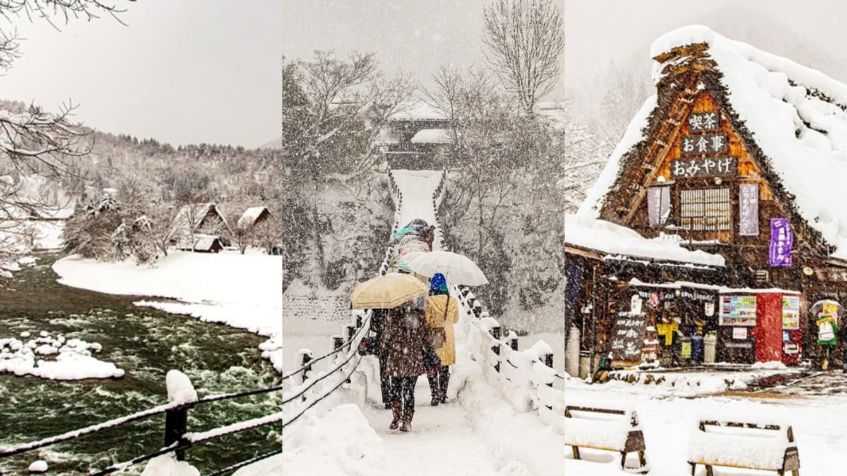 走進夢幻雪白世界！世界遺產「合掌村」全攻略：必訪景點、點燈時間１次看