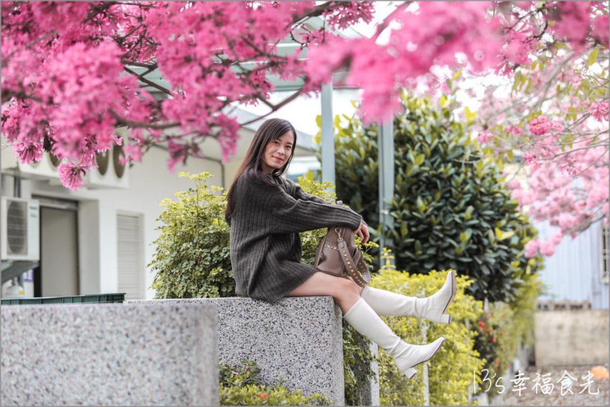 「粉色棉花糖」占領台中、彰化!3處洋紅風鈴木祕境推薦,美到在地人想私藏 「粉色棉花糖」占領台中、彰化!3處洋紅風鈴木祕境推薦,美到在地人想私藏