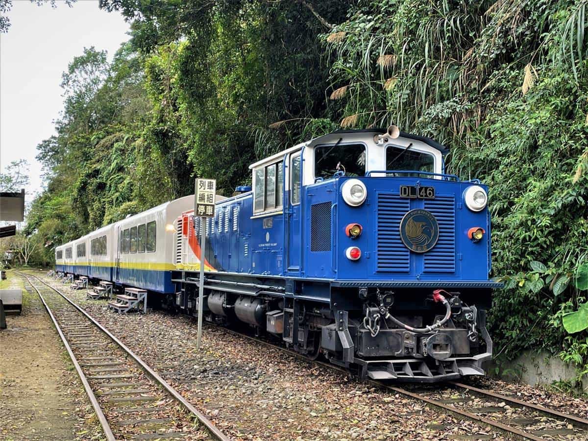 2輛阿里山最美小火車「這時」正式通車!大面山景窗美翻,套裝遊程明開賣 2輛阿里山最美小火車「這時」正式通車!大面山景窗美翻,套裝遊程明開賣