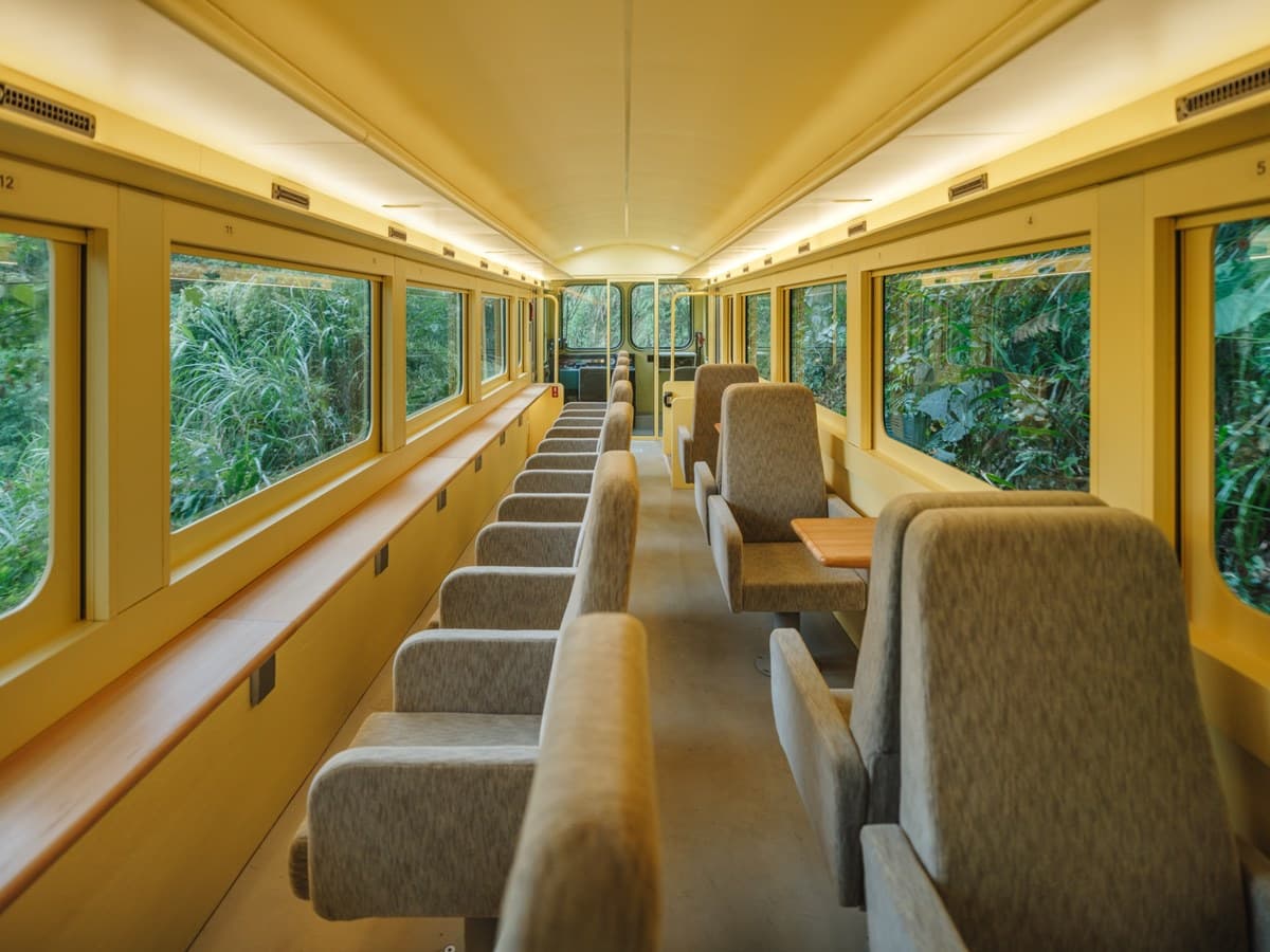 2輛阿里山最美小火車「這時」正式通車!大面山景窗美翻,套裝遊程明開賣 2輛阿里山最美小火車「這時」正式通車!大面山景窗美翻,套裝遊程明開賣