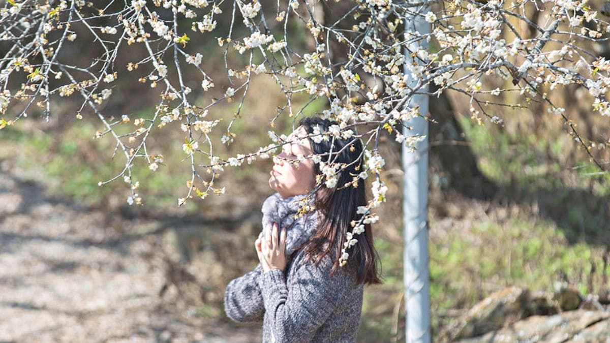 在梅花點綴下拍幾張網美照。（圖片來源：小夫妻的旅攝生活）