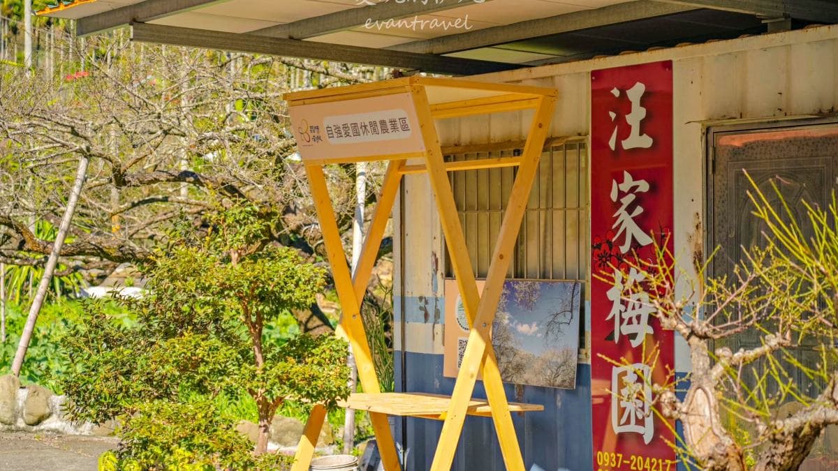 汪家休閒梅園位於高人氣賞梅景區信義鄉牛稠坑。（圖片來源：愛玩的伊凡）