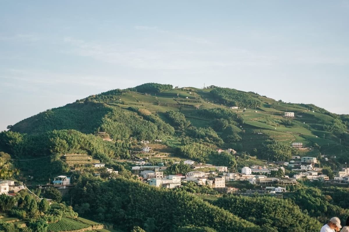 雲瀑陪你吃早餐！阿里山老茶廠變身歐風民宿，躺床就能看雲海日出