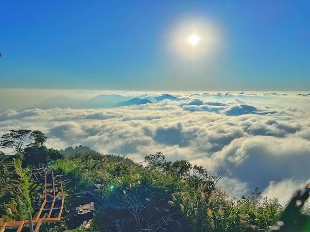 雲瀑陪你吃早餐！阿里山老茶廠變身歐風民宿，躺床就能看雲海日出