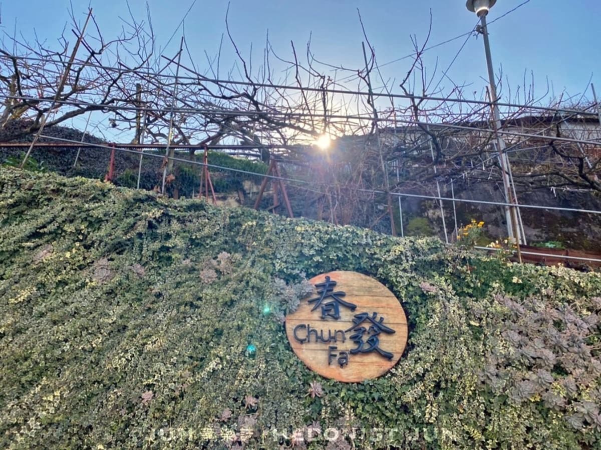 伸手就摸到天空！台中梨山松茂部落祕境民宿，晚餐澎派到像回家吃飯