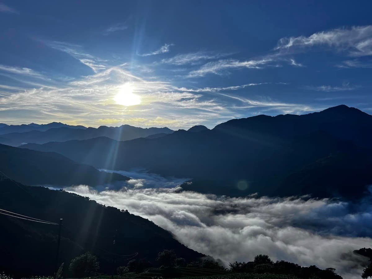 滿江紅觀賞季快衝！南投武界「城堡民宿」日出雲瀑配花海，一路美到４月