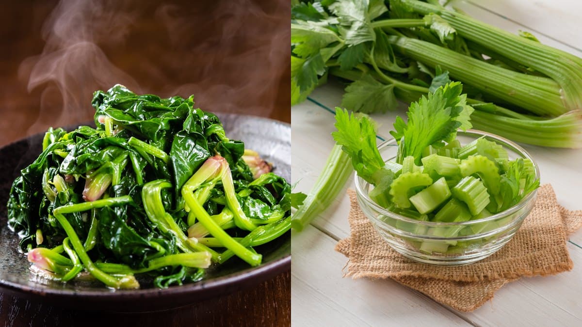 冬天死亡率最高！多吃「黑色食物」顧腎，一年「５季」食補養生１篇看完