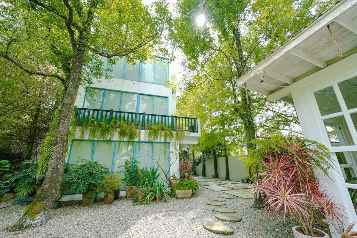 睡在落羽松祕境！南投埔里「超隱密夢幻民宿」，浴室跟房間一樣大好享受