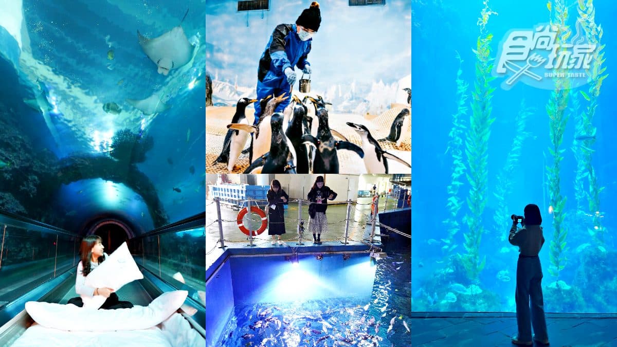 「全台最大水族館」最強攻略！４種隱藏版玩法：夜宿海生館、全台唯一餵企鵝(中獎公布)