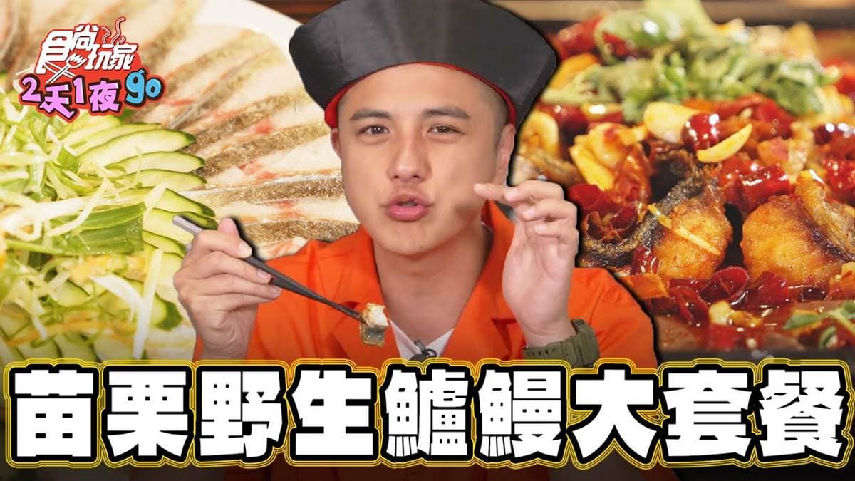 超浮誇「大尾鱸鰻四吃」！苗栗「客家菜大餐」太澎派，肥美魚肉沒預訂吃不到