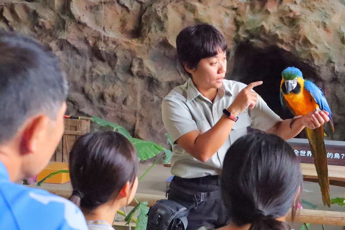 水豚、羊駝、狐獴一次包!24小時瘋玩「野生動物園飯店」,1月底前小孩免費住 水豚、羊駝、狐獴一次包!24小時瘋玩「野生動物園飯店」,1月底前小孩免費住