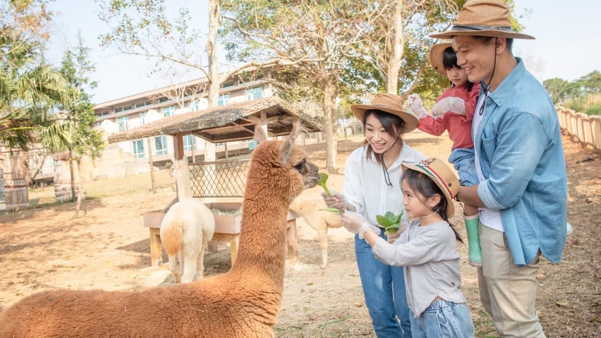 入住可跟動物來個零距離親密接觸。（圖片來源：六福旅遊集團）