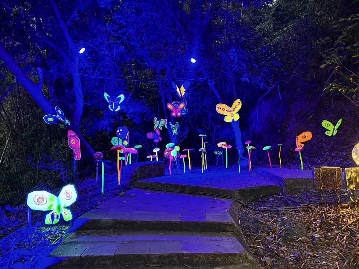 夜遊南台灣最美「瀑布光影展」！４大展區搶拍可愛幻獸、彩虹瀑布、大型水芋