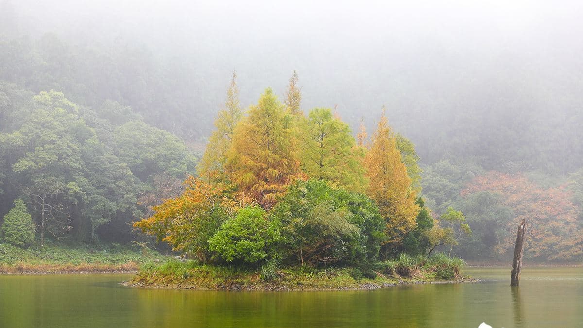 「明池」是１處位於宜蘭與桃園交界的原始高山湖沼。（圖片來源：卡夫卡愛旅行）