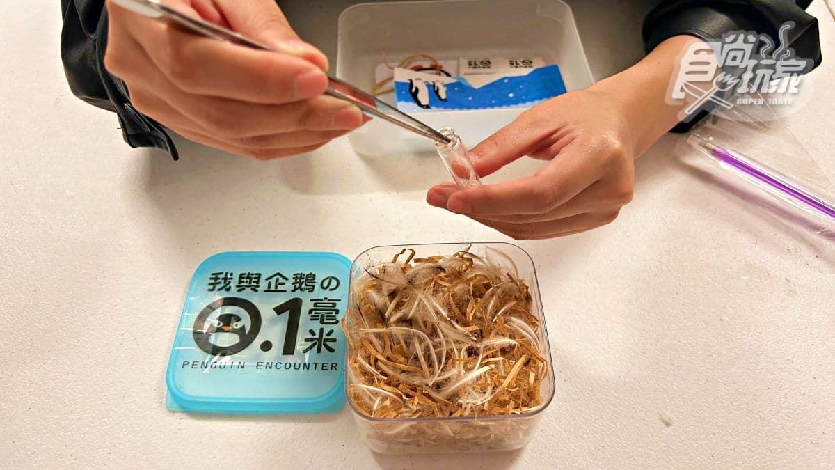 上百隻軟萌企鵝給你餵！全台唯一「餵企鵝體驗」在屏東，詳細體驗流程一次看