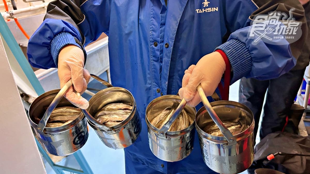 上百隻軟萌企鵝給你餵！全台唯一「餵企鵝體驗」在屏東，詳細體驗流程一次看