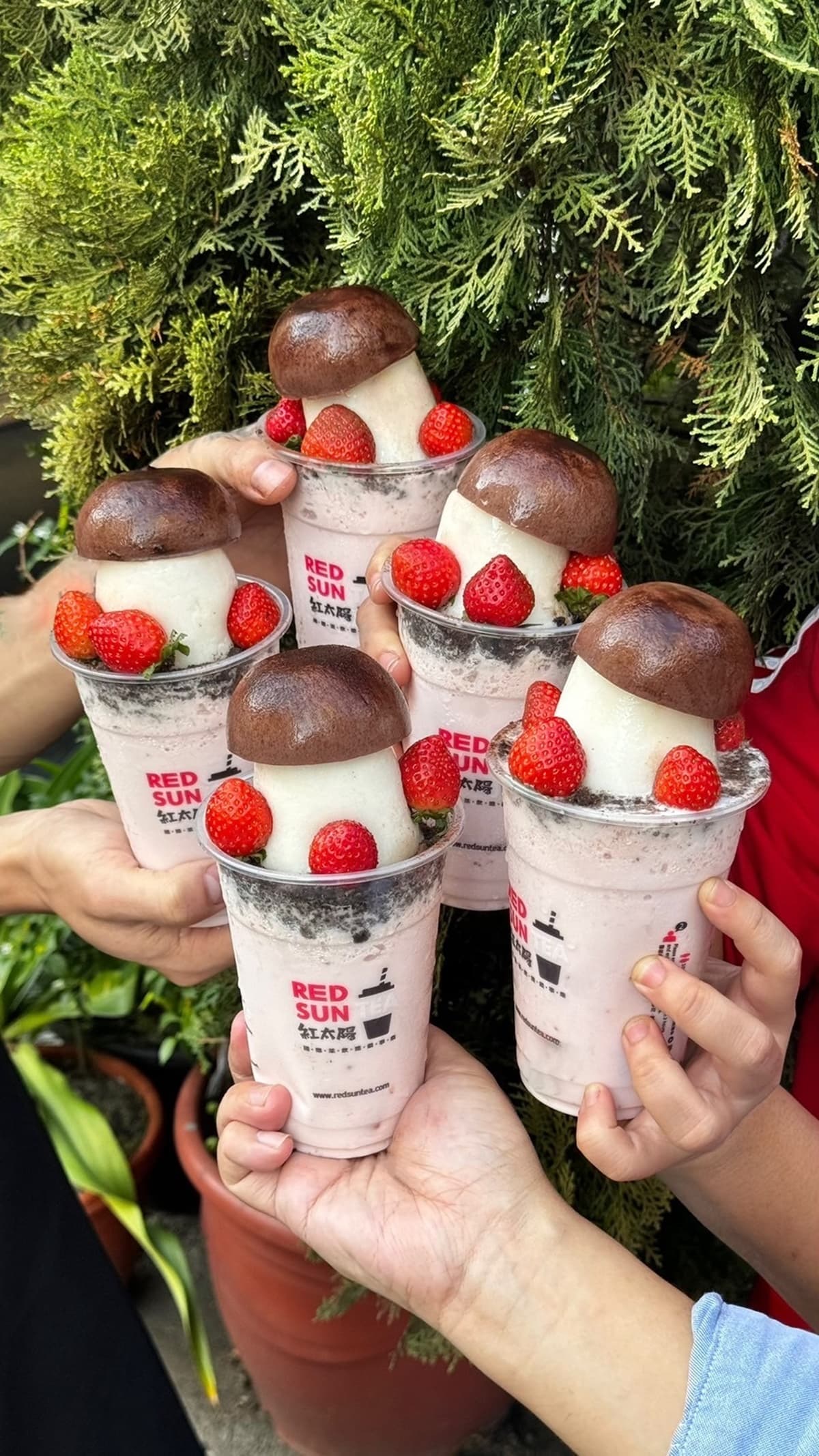 超巨大「草莓菇菇」秒想歪!全台獨家「香菇造型奶凍+草莓冰沙」網笑翻 超巨大「草莓菇菇」秒想歪!全台獨家「香菇造型奶凍+草莓冰沙」網笑翻