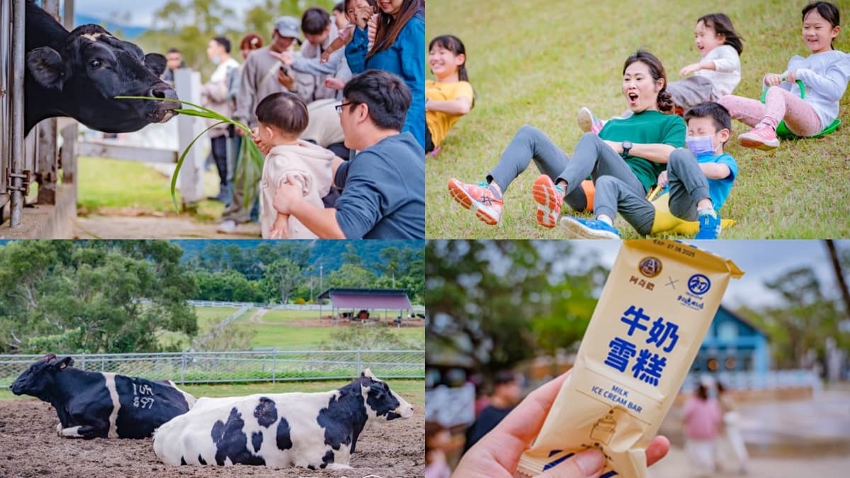 ６歲以下免費入園！台東「初鹿牧場」５玩法：餵牛牛、免費玩滑草、吃牛奶冰