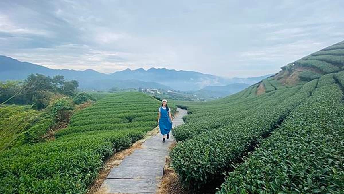 2025嘉義免費景點10處！春遊必拍太極波波草、招財金蛋、零食界好市多