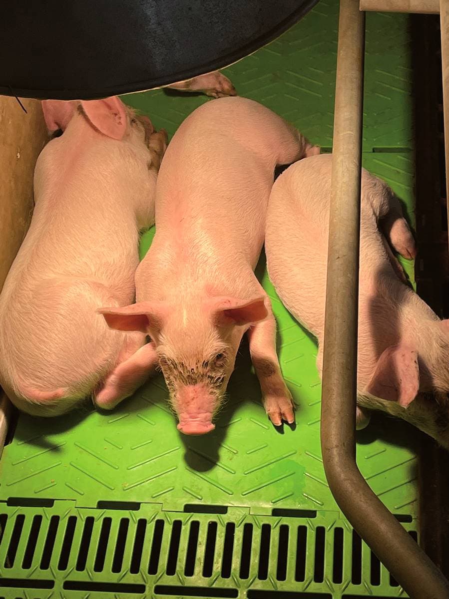 你吃的爌肉飯跟他有關!台灣「最神祕職業」每天上班2小時,全靠獨到眼光 你吃的爌肉飯跟他有關!台灣「最神祕職業」每天上班2小時,全靠獨到眼光