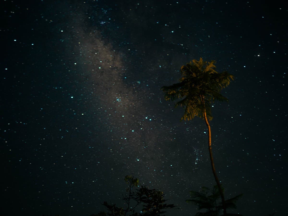 入住玻璃屋享無死角美景!開箱花蓮清水模民宿,入夜肉眼就能看到銀河 入住玻璃屋享無死角美景!開箱花蓮清水模民宿,入夜肉眼就能看到銀河