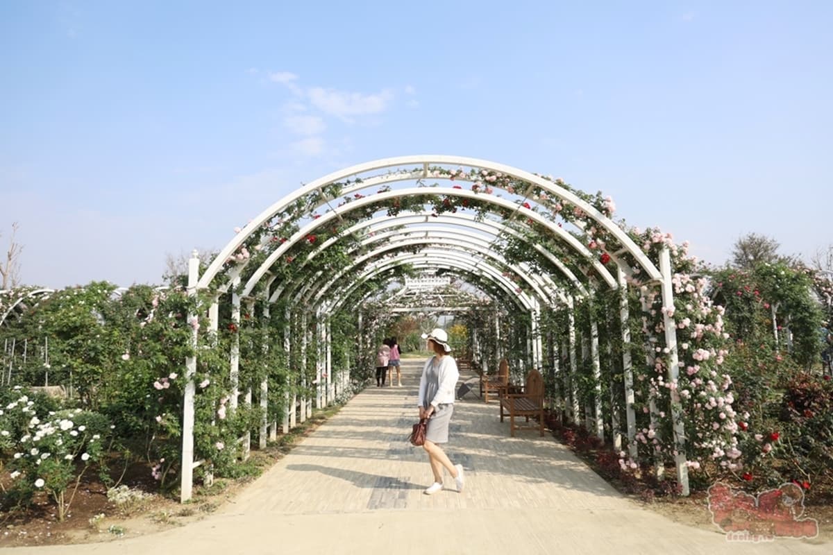 【新開店】台南版小人國!全新「免門票觀光工廠」搶拍千坪玫瑰園、壯觀瀑布 【新開店】台南版小人國!全新「免門票觀光工廠」搶拍千坪玫瑰園、壯觀瀑布