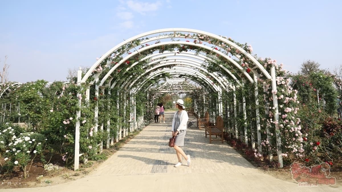 玫瑰花園內可以看到各式各樣的景致，其中這一區「花卉步道」好美～（圖片來源：熱血玩台南。跳躍新世界）