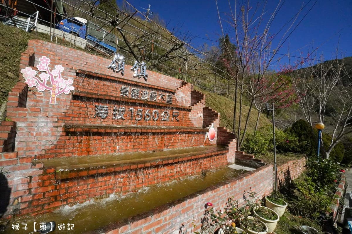 北部最大櫻花王在這！拉拉山小木屋窗景無敵，450元爽嗑專屬合菜
