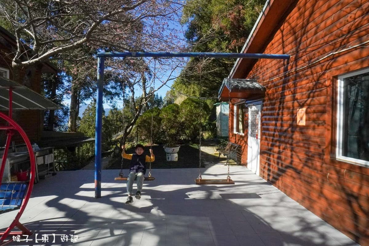 北部最大櫻花王在這！拉拉山小木屋窗景無敵，450元爽嗑專屬合菜