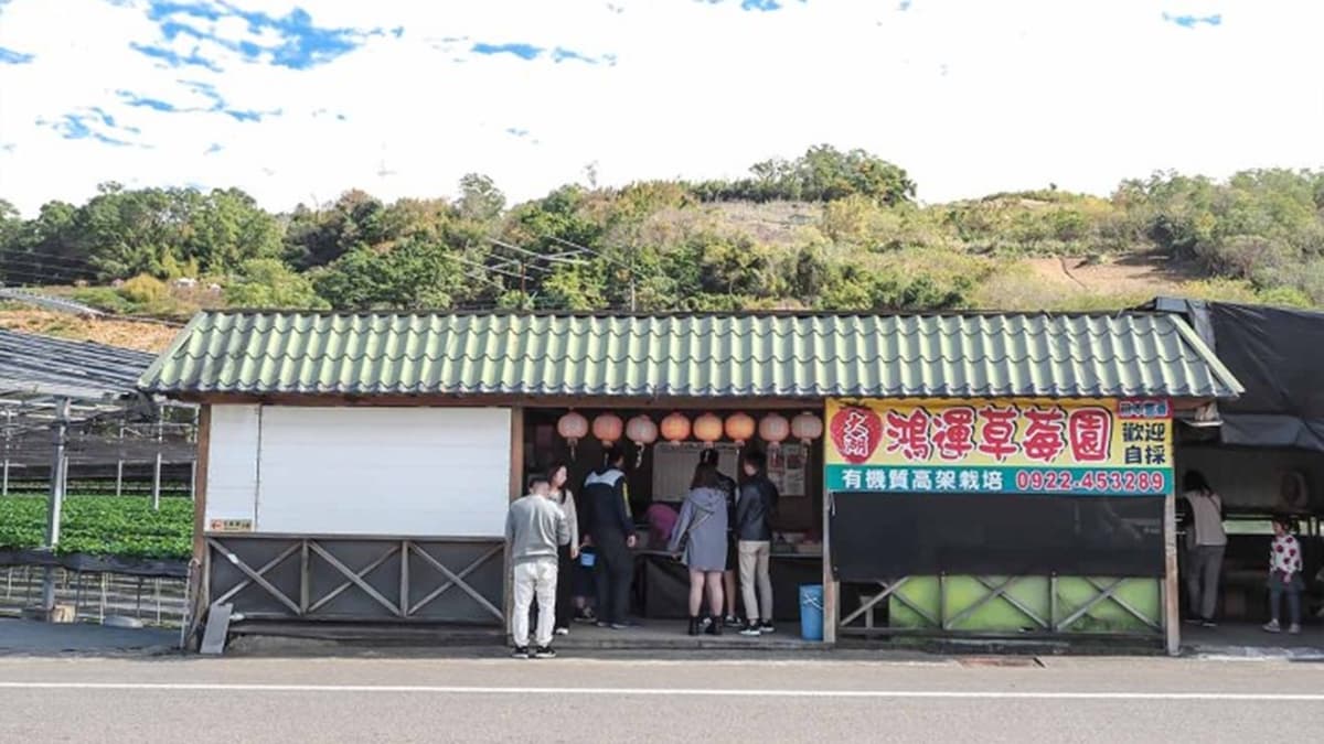 「大湖鴻運草莓園」位在苗55縣道上，往「馬拉邦休閒農業區」的方向。（圖片來源：蔣妮i拍）